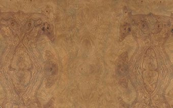 24 Natural Burl Finish - sample unavailable