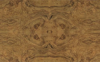 49 Olive Ash Burl (Sample unavailable)