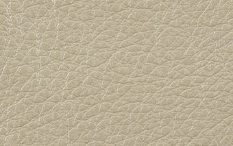 Hollywood Glass Slipper (Ivory w/ Sheen)